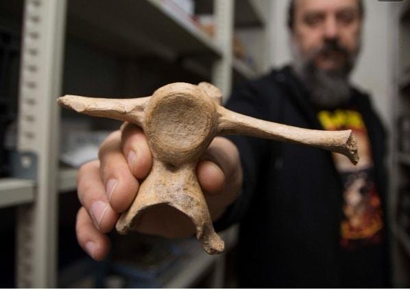 451678809_893034822852522_3313667809050554985_n