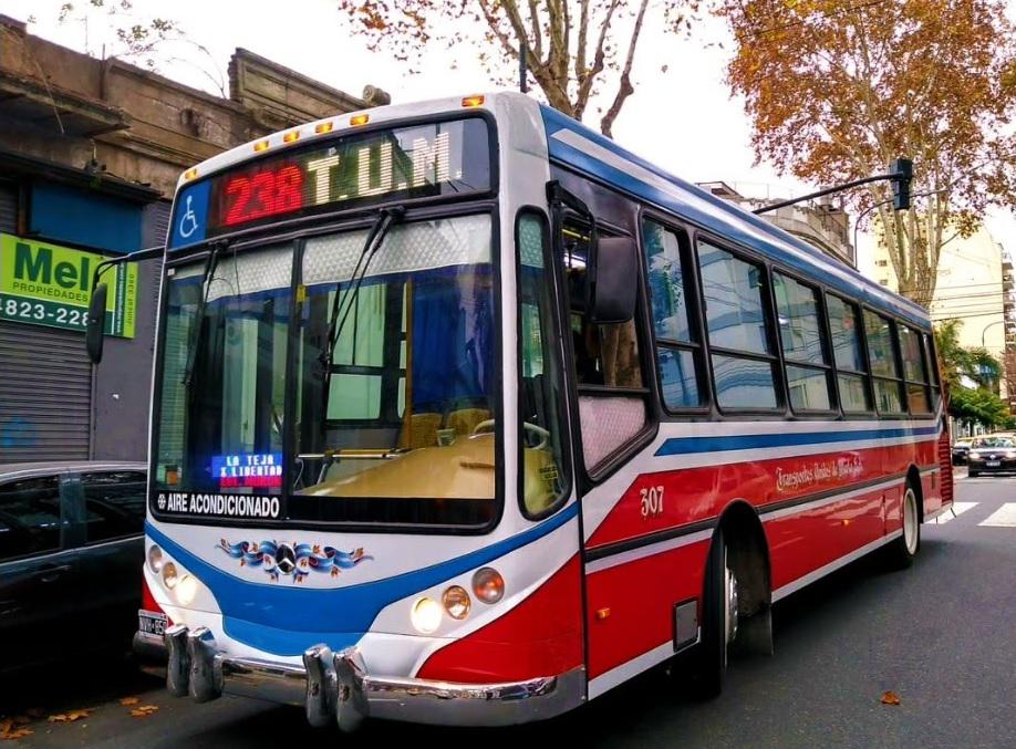 linea 238